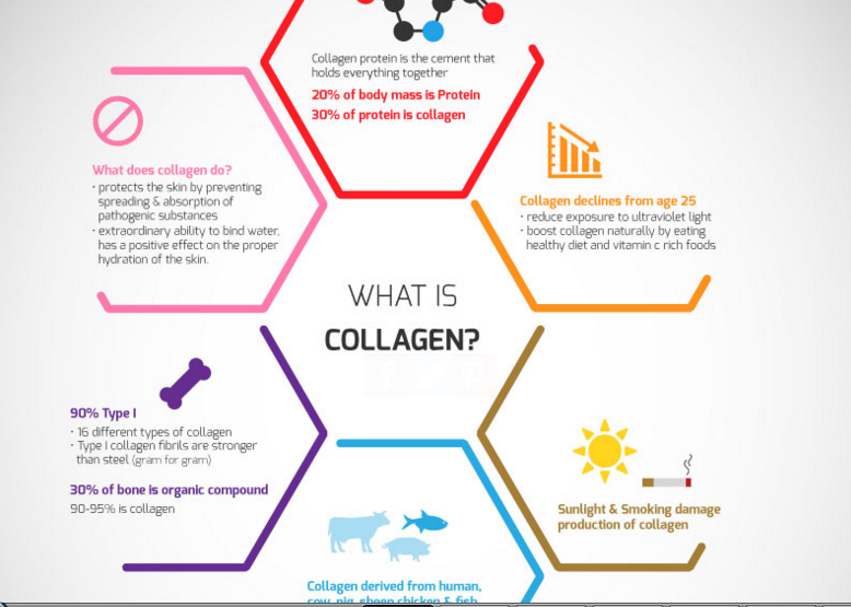 What's up with Collagen? - Bridge Chiropractic