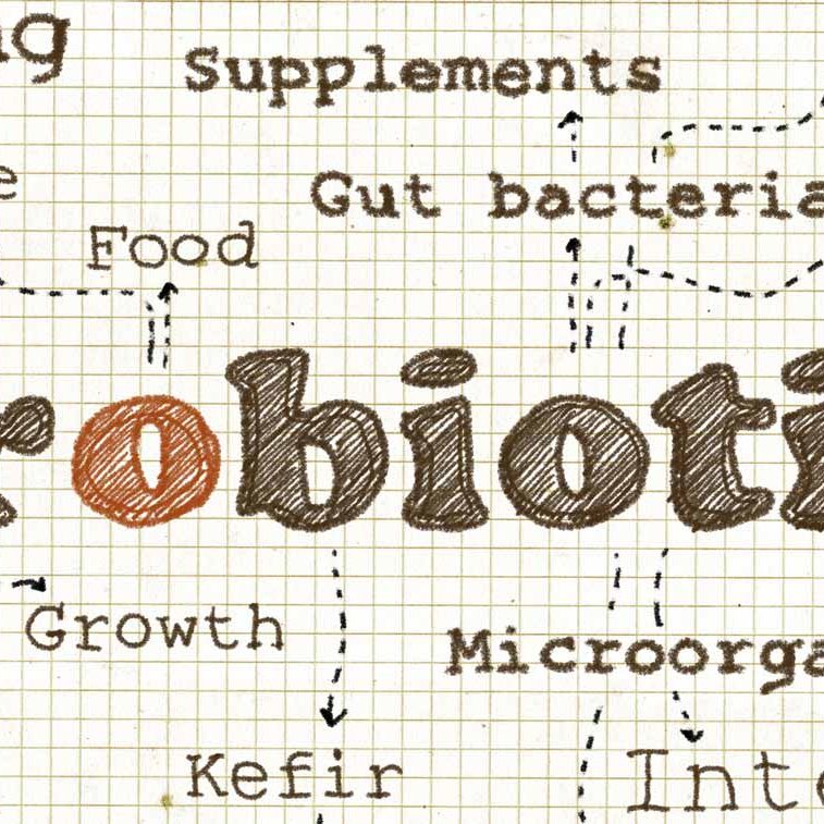 whit-probiotics-cover
